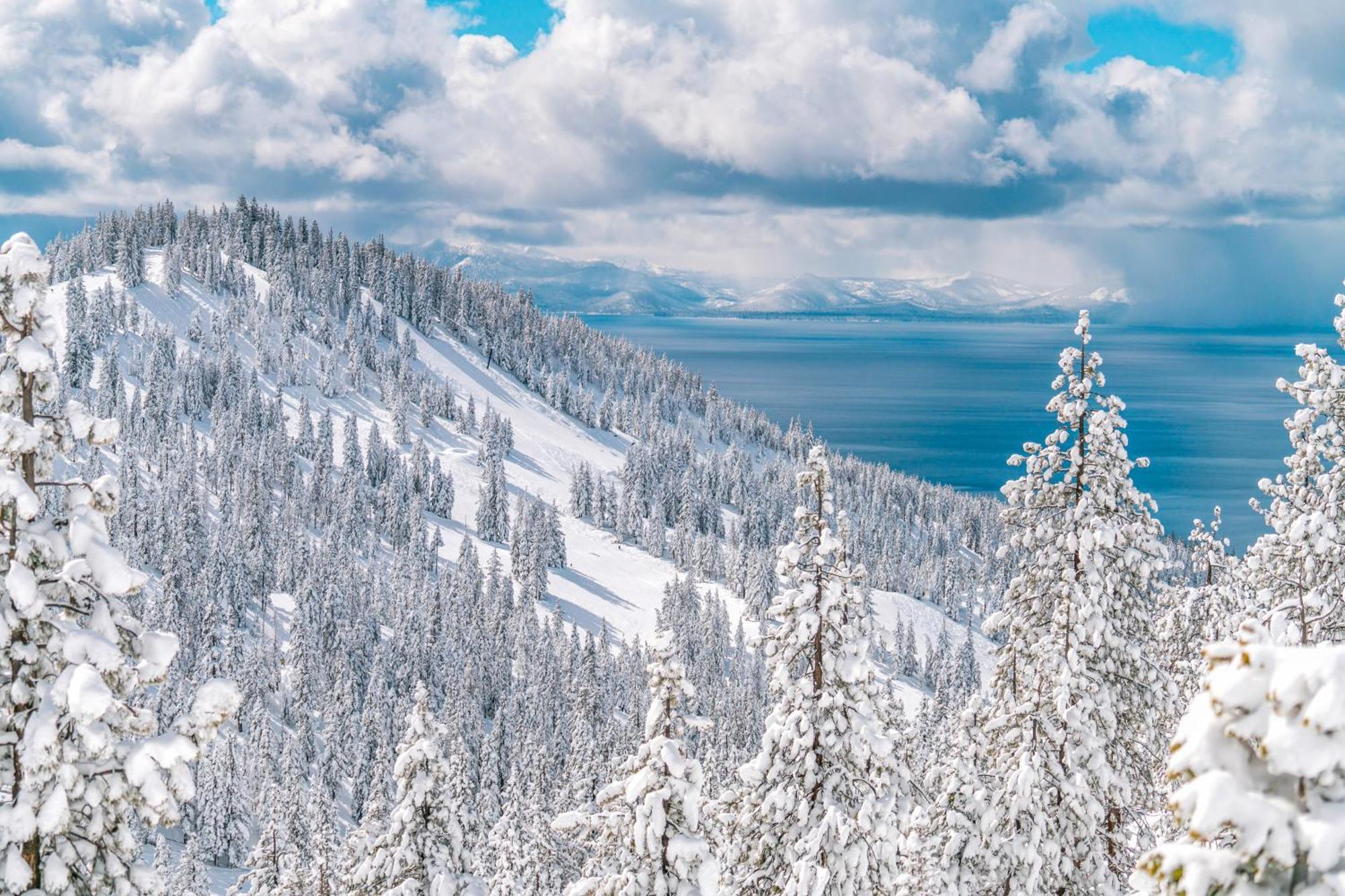 Tahome & Tahoe Place Incline Village Chambre photo